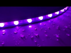 T24 512 flexible wall washer light